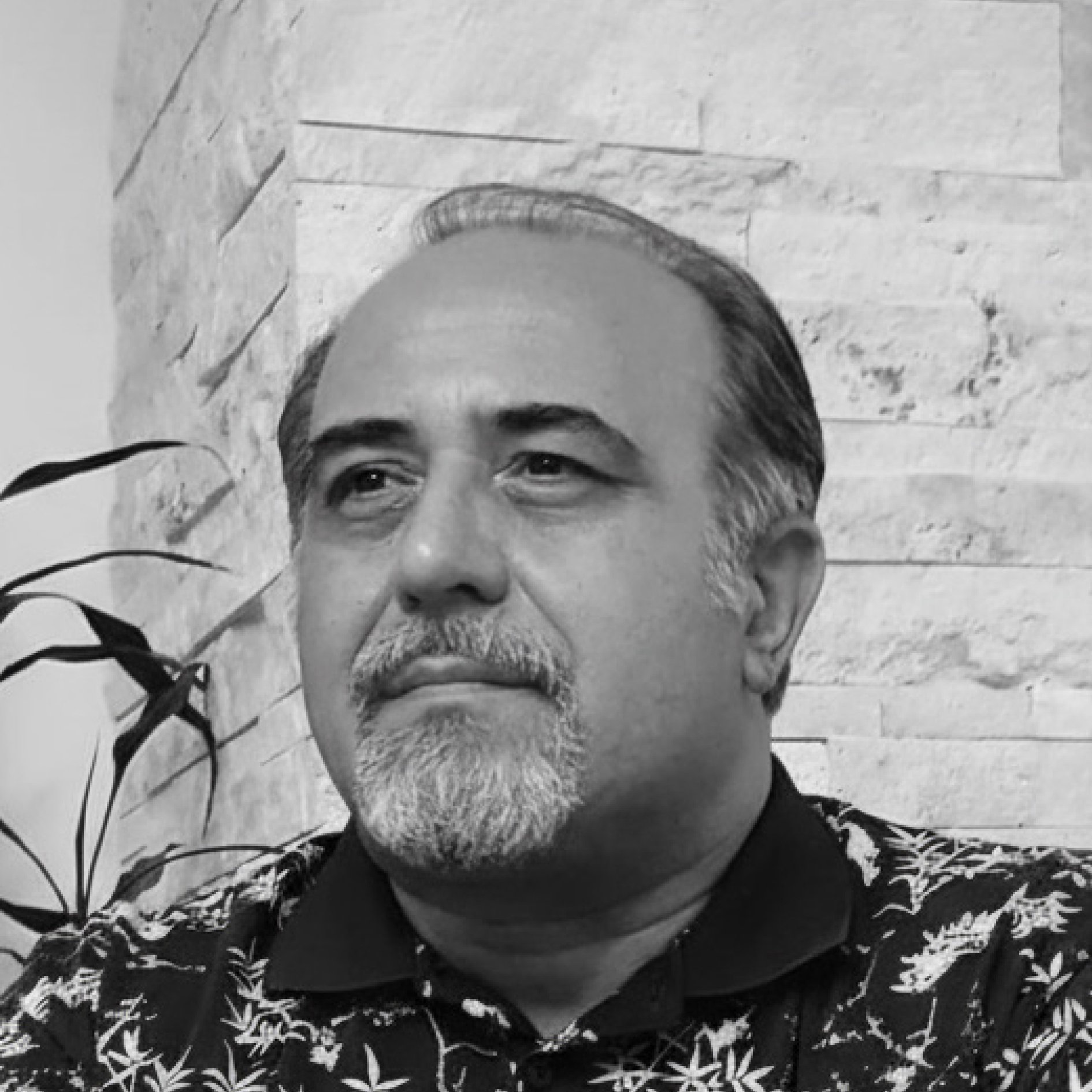 آرمان داوودی